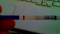BFP, then bleeding almost immediately after... please help...
