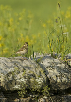 Photography chat thread - for all who are into Photography in whatever form