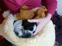 Maintaining weight & cheaters confessional