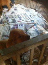 Maintaining weight & cheaters confessional