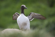 Photography chat thread - for all who are into Photography in whatever form