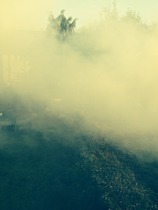 Neighbour burning garden waste