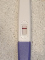 Going Clucking mental? Old birds gather round.....