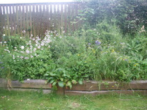 Renovating border
