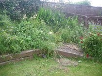 Renovating border