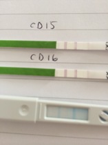 Going Clucking mental? Old birds gather round.....