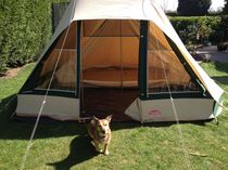 Cabanon Pyramide. - Can you tie up the base like a bell tent, for a draught?