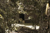 Photography chat thread - for all who are into Photography in whatever form