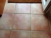 Cif Express Direct to Floor Cleaner review thread NOW CLOSED