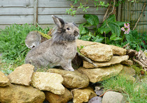 Maintaining weight & cheaters confessional