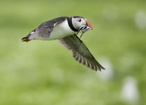 Photography chat thread - for all who are into Photography in whatever form