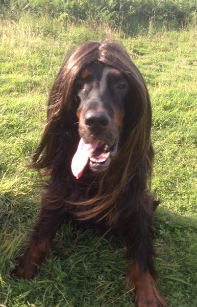 Tamoxigang thread 49 when Sumer is y cumen in and we get out the Pimms