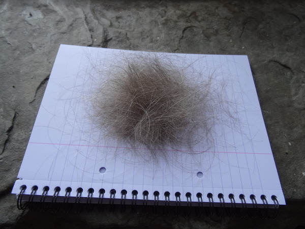 Zombie's  journey with breast cancer