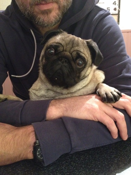 Please help with breeds
