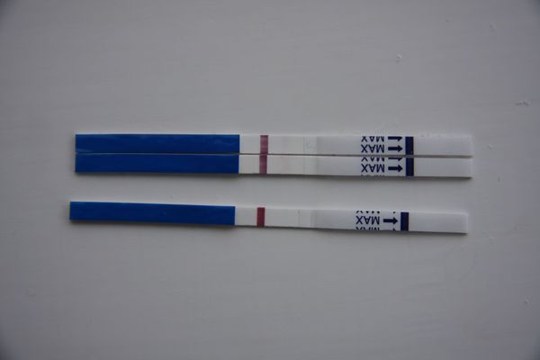 Clomid: the story continues...