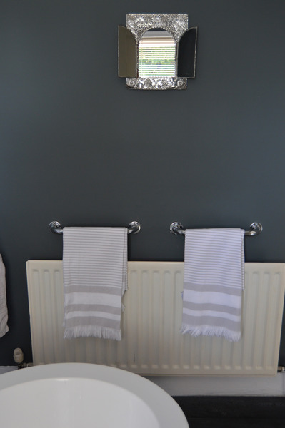 Grey bathrooms?
