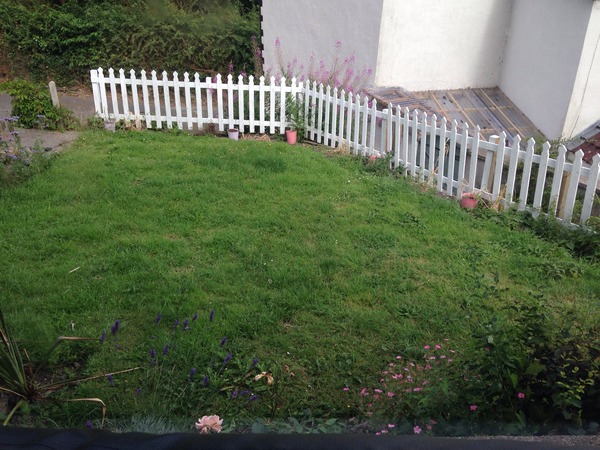 Can you help with our front garden please? (Pictures included)