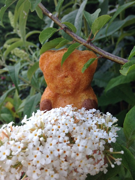 Barny's Little MN adventure: feedback thread NOW CLOSED