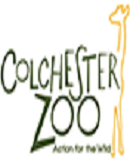 Win a Family Ticket to visit Colchester Zoo during the Summer Holidays