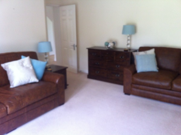 Advice on colour/finish for tv stand in this room (pic)