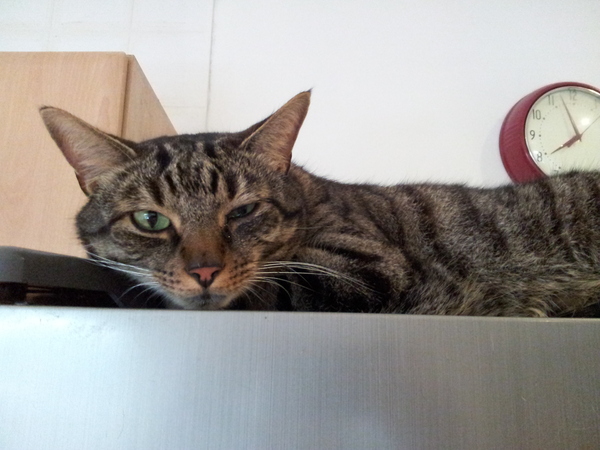 September 2014 reaching the final stretch!