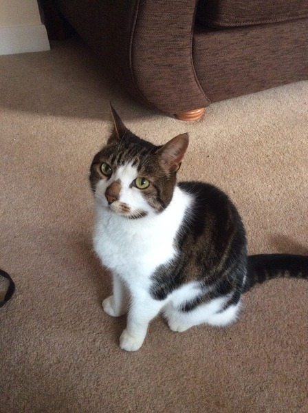 Just Shagging Grads Thread 9 - Roll Up, Roll Up all you graduated Viroids!