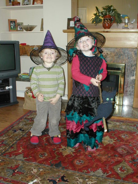 Halloween stuffed scarecrow witch and cat