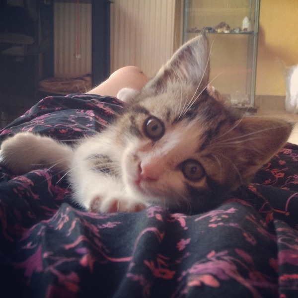 Charlie