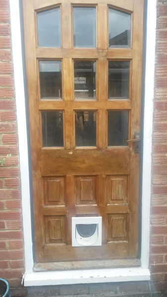 can I save this wood door?