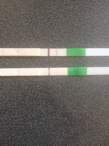 Pregnancy test positive 15 days after operation for eptopic pregnancy ?!?