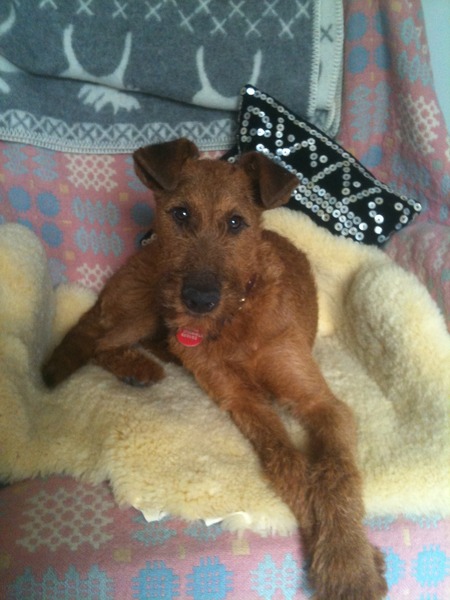 Ewa michalak bra sizing