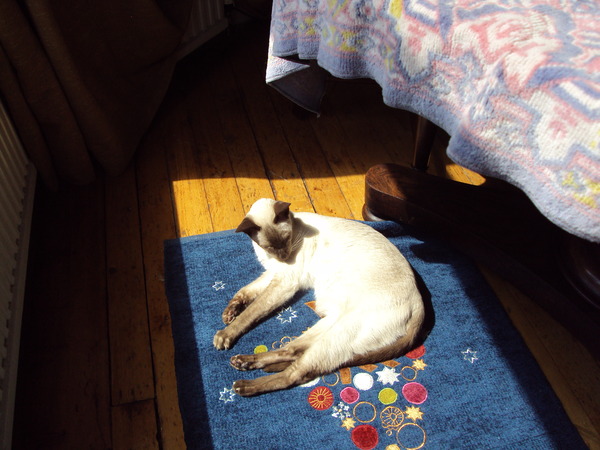 Seniorboy has been yelling at me this afternoon .....
