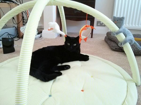 Just Shagging Grads Thread 10 - Roll Up, Roll Up all you graduated Viroids!!!