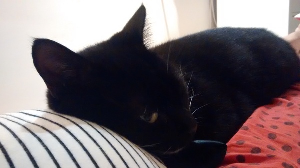 Just Shagging Grads Thread 9 - Roll Up, Roll Up all you graduated Viroids!