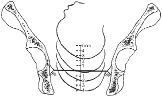 September 2014- will there be any babies yet??