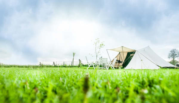 Nettle Tea! I need your De Waard wisdom.