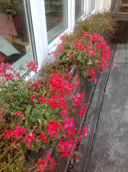 A garden is a lovesome thing, God wot!