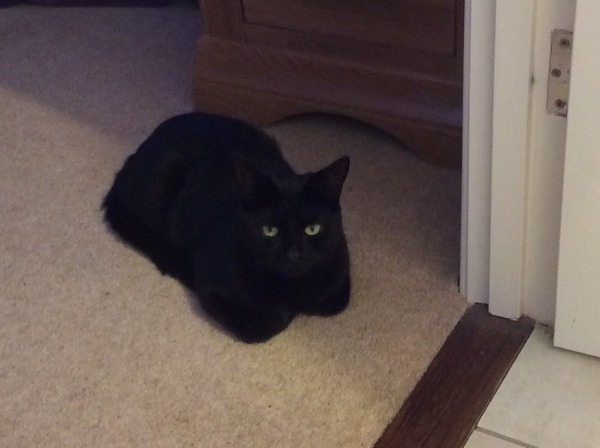 Just Shagging Grads Thread 9 - Roll Up, Roll Up all you graduated Viroids!