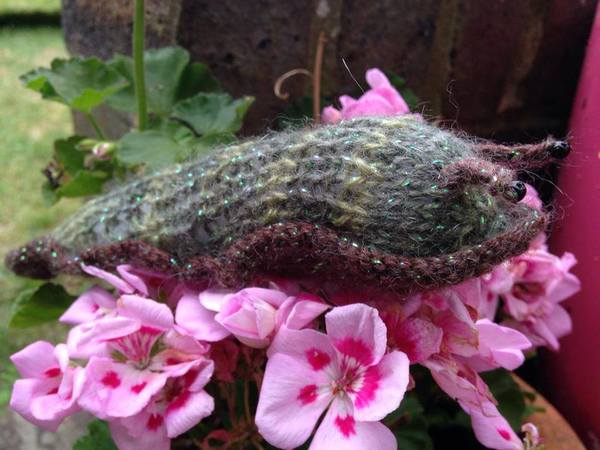 Woolly Hugs. A Woodland Themed Craft Sale and Auction for Mia's Wood.