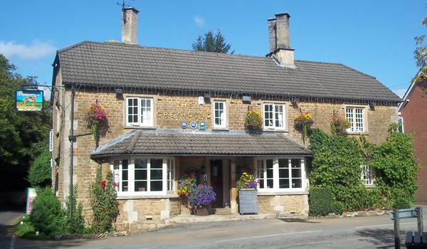 Greyhound Bromham