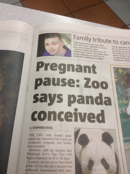 Going Clucking mental? Old birds gather round.....