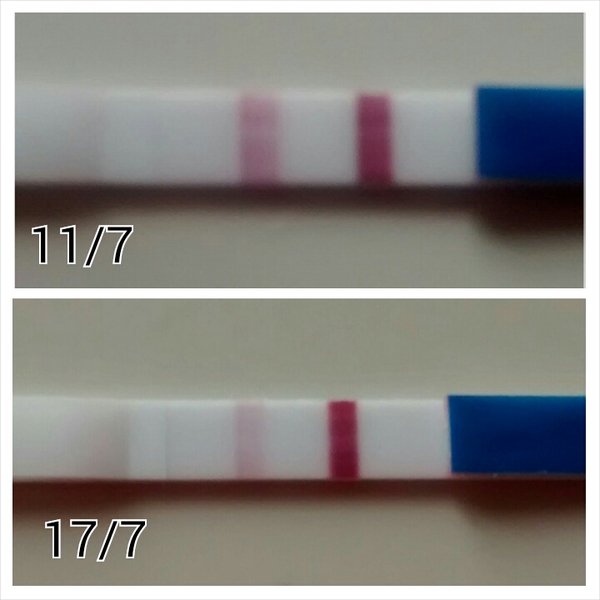 TTC after MC. The ups, the downs, the never ending Toad in the Hole and the relentless onslaught from the Facebook faceslaps!