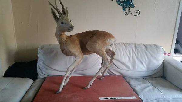 to think that people post some pretty nasty looking stuff for sale on FB selling sites?