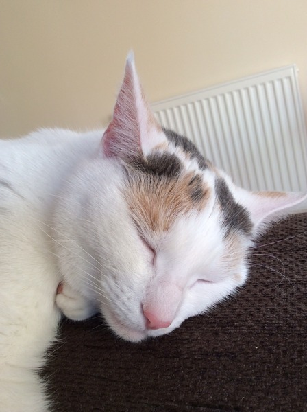 Just Shagging Grads Thread 9 - Roll Up, Roll Up all you graduated Viroids!