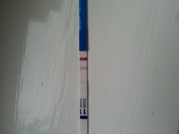 Due March 2015? Sign in here!