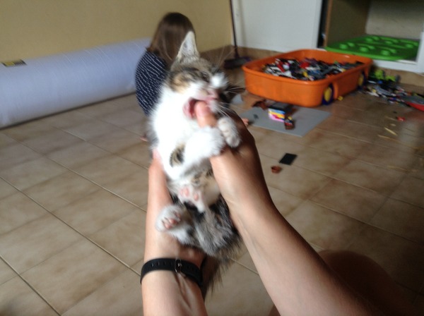 Charlie