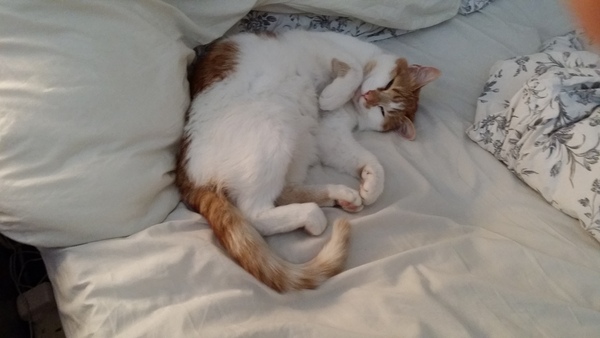 Was I unreasonable to make him sleep on the floor...