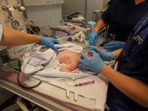 JULY 2014 - WE HAVE BABIES