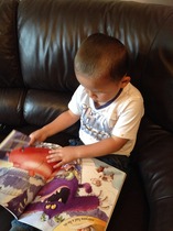 June Children's bookclub choice - Harry and the Monster by Sue Mongredien. Apply for free copy