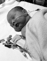 JULY 2014 - WE HAVE BABIES